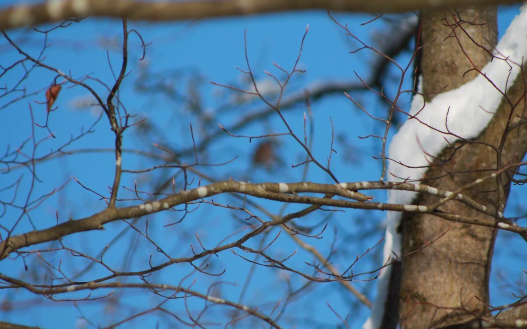 Devenez acteur de votre vie