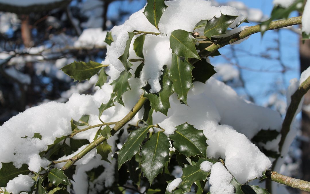 Mettez en oeuvre des changements profonds
