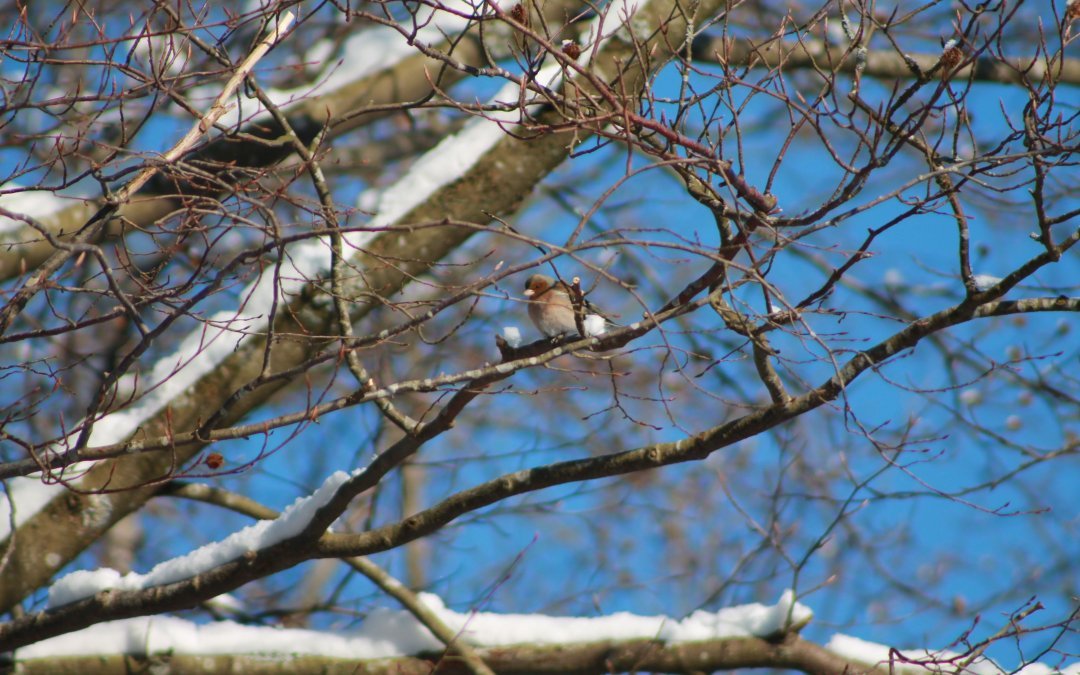 Transformez votre relation au monde